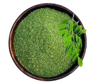 Extrait de feuilles de Moringa coupées en T provenant directement de l'Inde Prix en gros cultivé à l'état sauvage de la marque MORYA Grade a quantité minimale de commande de 100kg - Product Image 1