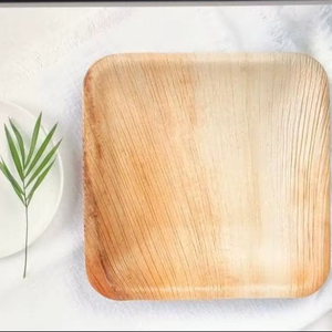 Export Quality 10-Inch Square Modern Areca Palm Leaf Dinner Plates Eco-Friendly Compostable Disposable Hotel Cafe Catering Plate - Product Image 1