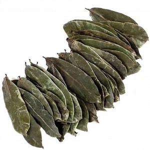 Export Quality Dried Soursop Leaves 100% Pure Graviola Leaves OEM Custom Packaging Bulk Supply - Product Image 4