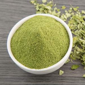 WARRLY Polvo de Extracto Herbal de Tulsi Orgánico Premium, Albahaca Sagrada Natural de Grado Alimenticio 99%, Suministro a Granel en Tarro Mason, Gujarat - Product Image 6