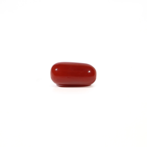 Natural Red Coral Oval Cabochon Loose Gemstone 3.76 Carat Certified Wholesale - Product Image 1
