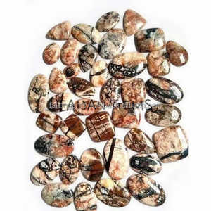 หินโมรามะพร้าวธรรมชาติเกรด AAA อัญมณีคาโบชอนอัญมณีหลายแบบสำหรับทำเครื่องประดับหินแจสเปอร์มะพร้าวที่ไม่เหมือนใคร - Product Image 3