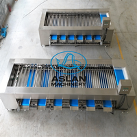 Aardappel-Tomaat Sorteermachine Hoge Nauwkeurigheid Vers Fruit Groenten Sorteermachine Rollertype Fruitverwerkingsinstallatie