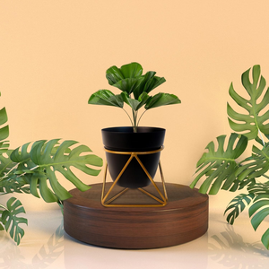 Pot de fleurs en métal noir avec support en fer, porte-plantes surélevé moderne pour la décoration intérieure contemporaine, aménagement de jardin intérieur - Product Image 3