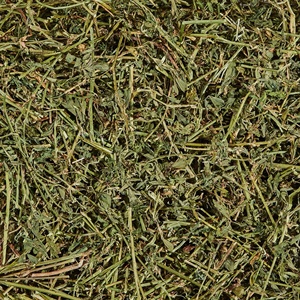 Heno de alfalfa de fibra nutritivo y fresco para animales de granja como ganado, peces y perros, listo para enviar - Product Image 2