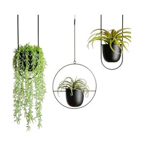 Wholesale Powder Metal Hanging Plant <b>Pots</b> High Quality Round & Oval Iron Wall Hangers For Plants Eco-Friendly Home Decor - Product Image 1