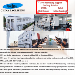 Fabricant professionnel d'outils CNC en Chine, forets en carbure solide pour l'usinage CNC de la fonte - Product Image 4