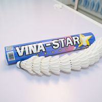 Bulu Tangkis Vina-Star Profesional Kelas Turnamen, Bulu Angsa, Kayu, Tahan Lama, Ringan, Ramah Lingkungan, 2 Lapis, Grosir