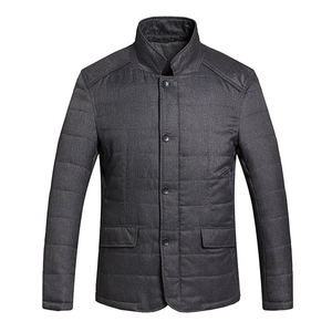 Blouson matelassé pour homme style chinois à col mandarin, couleur unie, rembourrage en polyester, coupe ajustée, manches classiques, simple boutonnage, idéal pour l'hiver - Product Image 1