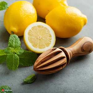 Indian Manufacture Lemon Fruit Orange Reamer Fruit Slicer <b>Kitchen</b> <b>Gadgets</b> <b>Tools</b> at Amazing Quality Product - Product Image 2