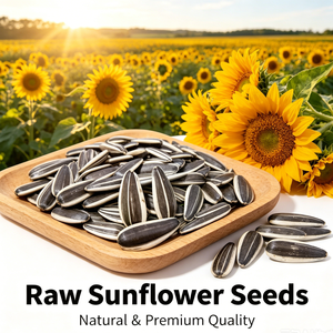 Graines <span class=keywords><strong>de</strong></span> <span class=keywords><strong>tournesol</strong></span> géantes en gros pour semis, faciles à cultiver, pour l'agriculture et l'aménagement paysager - Product Image 2