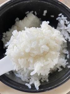 ARROZ CALROSE DE GRANO MEDIO PARA EL MERCADO DEL MEDIO ORIENTE, PULIDO CON ACEITE/ SIN PULIR CON ACEITE - MARCA OEM Por VILACONIC (Sra. Ellen) - Product Image 3