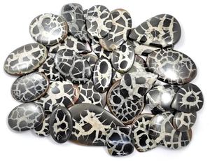 Venta al por Mayor de Cabujones Planos de Septariana Negra Natural Pulidos a Mano, Piedras Preciosas Sueltas de Alta Calidad para Joyería - Product Image 1