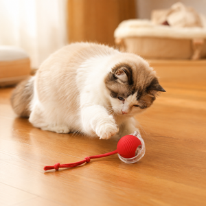 Juguete Interactivo Inteligente para Gatos, Diseño Nuevo en Oferta, Accesorios para la Cola de la Pelota, Rodamiento Realista sobre Alfombra, Rápido e Indestructible - Product Image 1