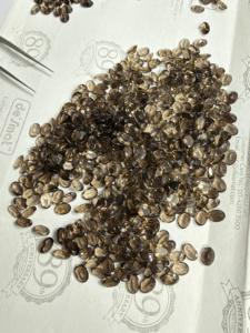 Cuarzo Ahumado Natural, Piedras Preciosas Sueltas, Corte Oval/Pera/Marquesa, Facetadas, Transparentes, Color Marrón, 5mm, Ligeras, para Joyería - Product Image 2