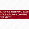 EUROPEAN FORCE SHIPPING logo