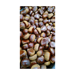 เกาลัดสดแบบดิบ จำหน่ายจำนวนมากสำหรับอุตสาหกรรมแปรรูปอาหาร - Product Image 2