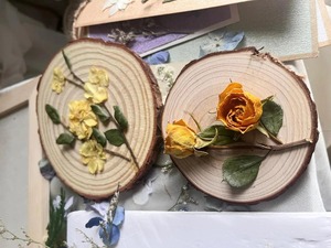 Posavasos de madera de alta calidad al por mayor, posavasos de madera natural, posavasos de madera personalizados de diseño artesanal. - Product Image 4