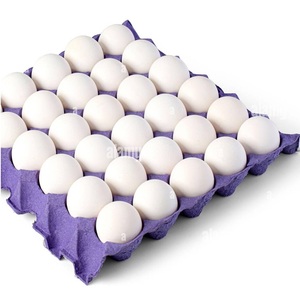 Huevos Frescos de Gallina Blanca, Huevos de Mesa, Paquete de Cartón de 30 Unidades - Product Image 1