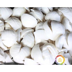 Proveedor de Carne de Coco Congelada de Vietnam, Producto Tropical para Bebidas, Postres y Distribución al por Mayor - Product Image 3