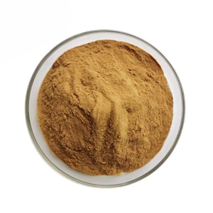 Premium Quality Shatavari Root Extract 10% Powder Ayurvedic Asparagus Racemosus Support to Balance Women's Hormones & Lactation - Product Image 1