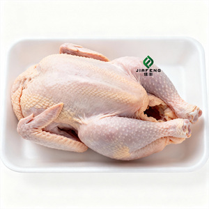 <span class=keywords><strong>Poulet</strong></span> entier congelé halal de qualité supérieure, vente en gros avec <span class=keywords><strong>livraison</strong></span> rapide - Product Image 4