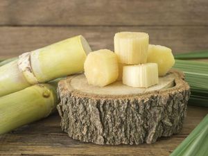 Canne à sucre congelée pour boissons et dessert | Vente en gros de canne à sucre 100% naturelle du Vietnam - Product Image 5