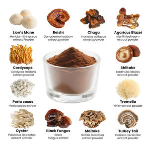 OEM 유기농 12 in 1 버섯 추출물 파우더 블렌드 영지버섯, 동충하초, 사자갈기버섯 & 차가버섯 - Product Image 1