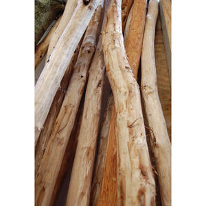 Troncos de Madera Dura de Grado de Construcción, Postes de Madera Resistente, Perfectos para Cercas, Construcción y Uso en Exteriores - Product Image 2