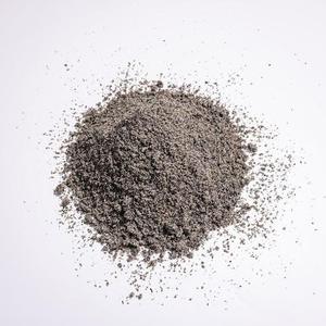 ผงงาดำสกัดธรรมชาติ สารสกัดงาดำ ผงงาดำสกัด ซีซามินผง ขายส่ง - Product Image 4