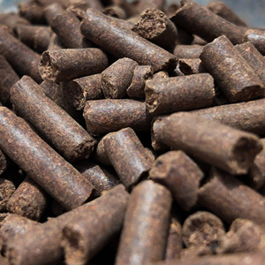 Biomasse de noix de cajou, carburant renouvelable à faible coût pour la combustion industrielle - Product Image 3