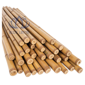 Postes de Bambú Ecológicos y Sostenibles de Primera Calidad, Estacas de Soporte para Plantas de Alta Calidad, Personalizadas en Vietnam, GRAN VENTA - Product Image 1