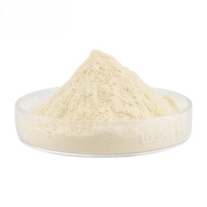 Polvo de Almendras de Grado Alimenticio Premium, Finamente Molido, Polvo de Almendras Natural para Hornear, Smoothies y Bebidas, OEM, ODM, Marca Privada, a Granel - Product Image 3