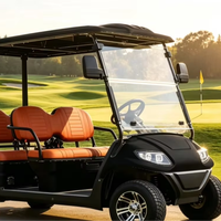 Carrito de Golf de 4 Plazas A617.4, Adaptado para Recorridos Turísticos por el Lago
