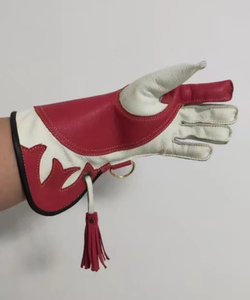 Guantes de cetrería de cuero para caza de águilas forestales, aves, halcones y trampas para animales, personalizados - Product Image 1