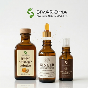 Premium Ginger Extract Liquid crafted for bulk supply featuring rich aroma smooth texture consistent quality - Product Image 1