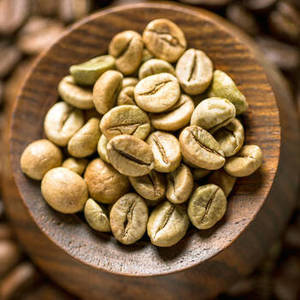 เมล็ดกาแฟอาราบิก้าอินเดียสดใหม่ เกรด A บริสุทธิ์ 100% สำหรับการผลิตกาแฟพิเศษ ธุรกิจกาแฟสมัยใหม่ - Product Image 6