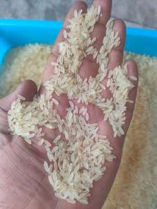 Arroz Basmati de Grano Largo de Alta Demanda, Calidad de Exportación, Precio al por Mayor, Sin Tratar - Product Image 5