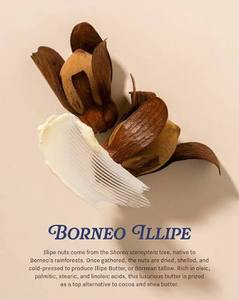 Crema de Manteca de Illipe Tengkawang 100% Natural Pura de 1 Kg para el Cuidado de la Piel, Fabricación de Jabones y Cosméticos - Product Image 4
