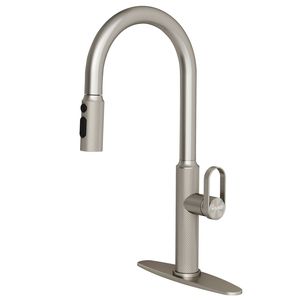 Rubinetto da Cucina Estraibile - Product Image 1