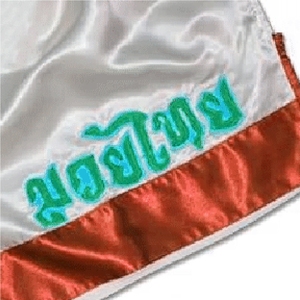 OEM Custom Muay Thai <b>Shorts</b> Breathable <b>Kickboxing</b> Boxing <b>Shorts</b> for Men with Sublimation Printing - Product Image 4