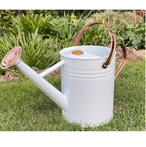 Modern Style Superior Quality Water Storage Household Metal Watering Can Shiny Finished For Home & Hotel <b>Garden</b> Daily Used - Product Image 6
