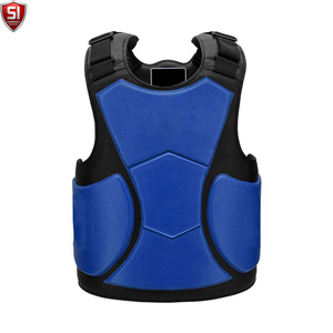 Protector de Pecho para Entrenamiento de Boxeo, Chaleco Protector Ajustable, Forrado en Cuero, Ecológico y Transpirable para Taekwondo, Karate y Ejercicios - Product Image 1