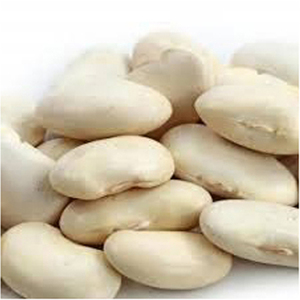 ถั่วลิมาขนาดใหญ่ คุณภาพสูง ราคาถูก - Product Image 1