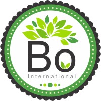 Bo International logo