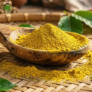 สมุนไพรไทยสูตรดั้งเดิม ยอดนิยม สารสกัดใบอู่หลี 80% ชนิดผง สกัดด้วยตัวทำละลาย เกรดยา บรรจุภัณฑ์สุญญากาศ - Product Image 3