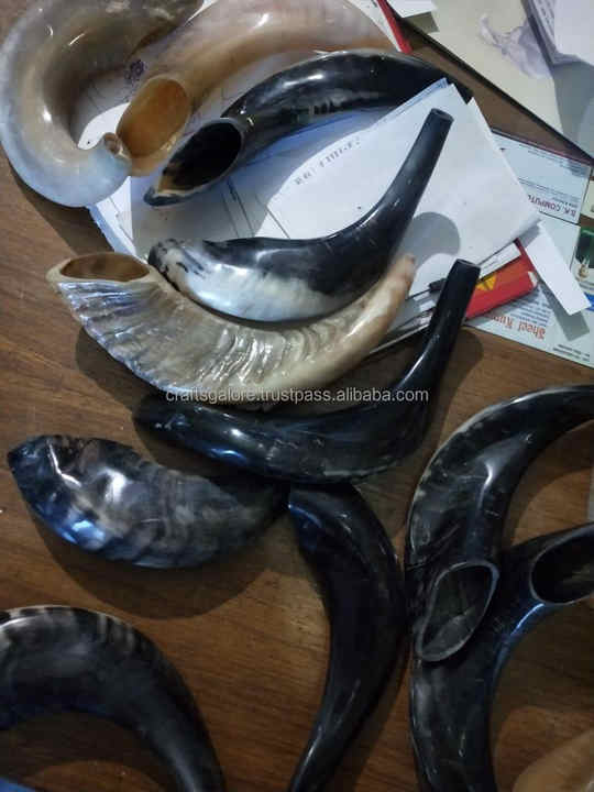 Kosher Kudu Shofar Horn From Israel Traditional Handcrafted in India Your Kosher Shofar Wholesale Israeli Shofar