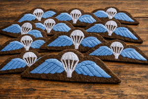 Premium Custom Embroidery Patch Wholesale Decorative Applique Sew On Iron On Patches for Hats <b>Jackets</b> Bags Clothing Factory - Product Image 6