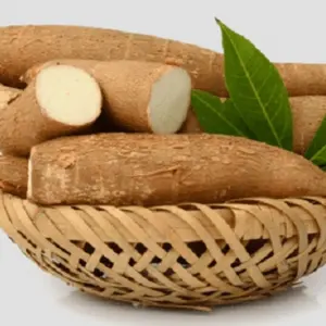 Bột sắn bột/sắn bột/sửa đổi khoai mì từ Việt Nhà cung cấp với chất lượng cao