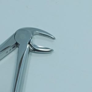 High Precision Steel Dental Extraction Forceps Manual Tooth Removing Surgical for Clinics and Hospitals By <b>Blush</b> Surgical - Product Image 3